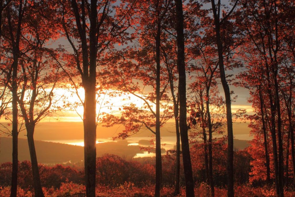 dcfae99e61f6d0f32b76fd34d5aa2095